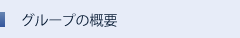 O[v̊Tv