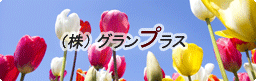 OvX / ʁA݌v